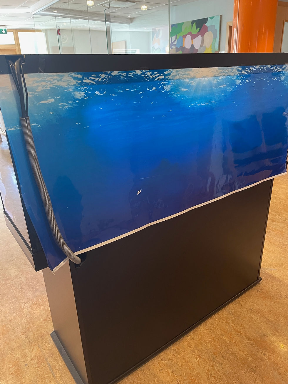 Thumbnail: Selt/Endurnýtt-Juwel fiskabúr glæsilegt -370 lítra