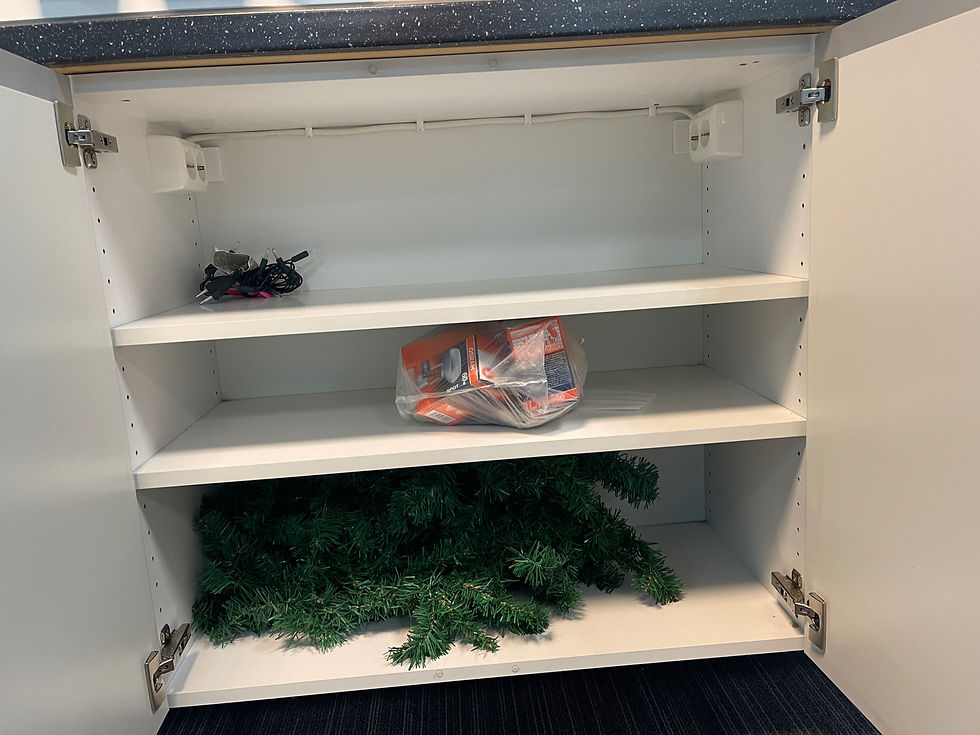 Thumbnail: Selt/Endurnýtt-Sýningar/lagerskenkur m.panelplötum