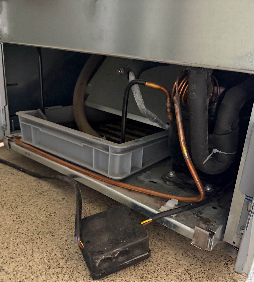 Thumbnail: Oscartielle display kælir frá BVT, H198xB98sm.