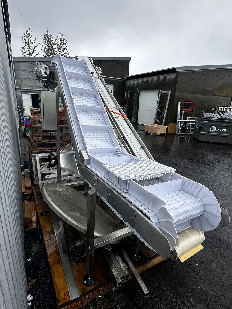 Thumbnail: Færiband, L~250 x H220 sm.