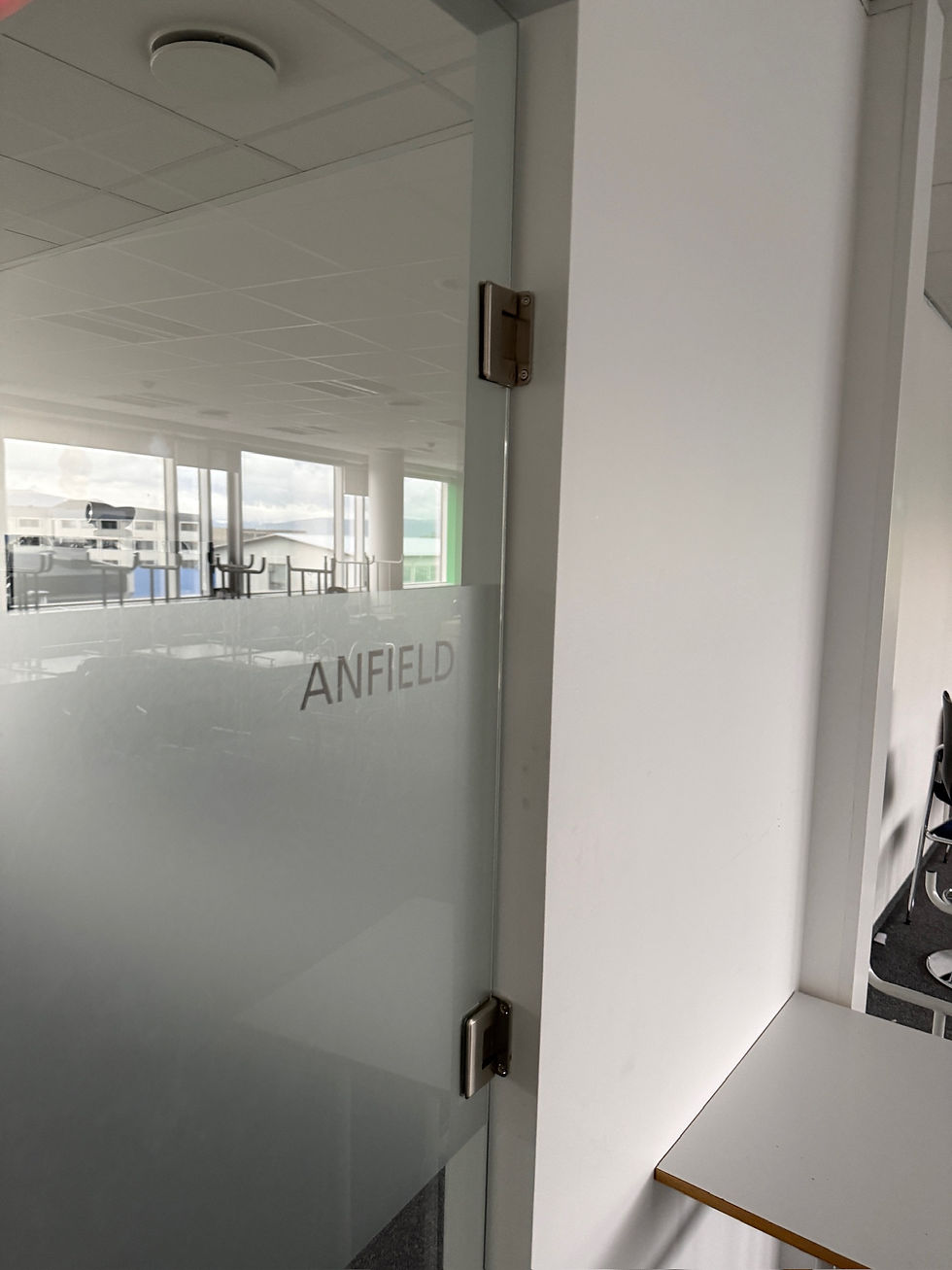Thumbnail: Hert gler / hurð, H209xB203sm., 10mm. - Anfield