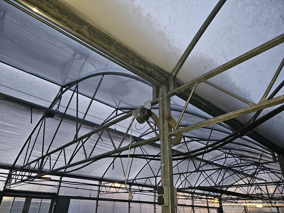 Thumbnail: SELT / SOLD - Vetrargarður - gróðurhús - stálgrindargarður 480 fm.