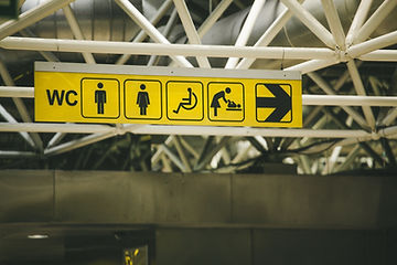 Disability Access
