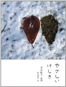 【読了】やさしいけしき