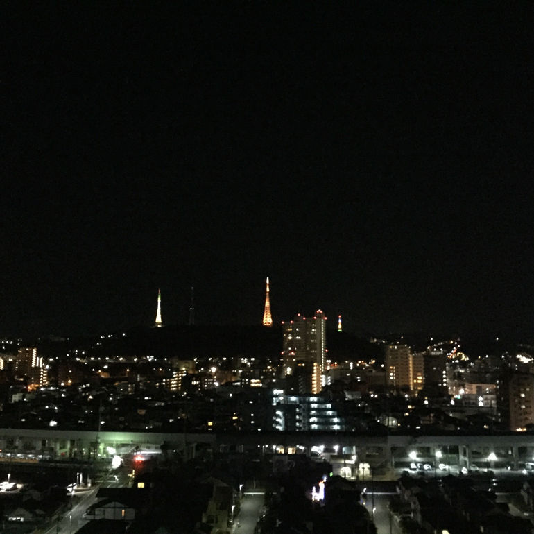 2016、本能、ありがとう、好き