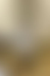那須と宇都宮