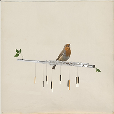 AVANT RECORDS - TAPAS.png