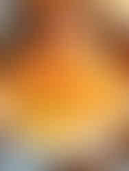 The Cracked Mug's chicken salad sandwich plate with chips and a pickle