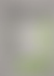 Der wöchentliche MENÜPLAN KW37