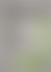 Der wöchentliche MENÜPLAN KW26