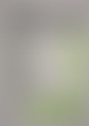 Der wöchentliche MENÜPLAN KW34