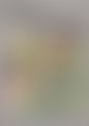 Der wöchentliche AKTIONSPLAN KW47