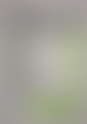 Der wöchentliche MENÜPLAN KW29