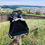 Miniaturbild: Edelweiss Bag