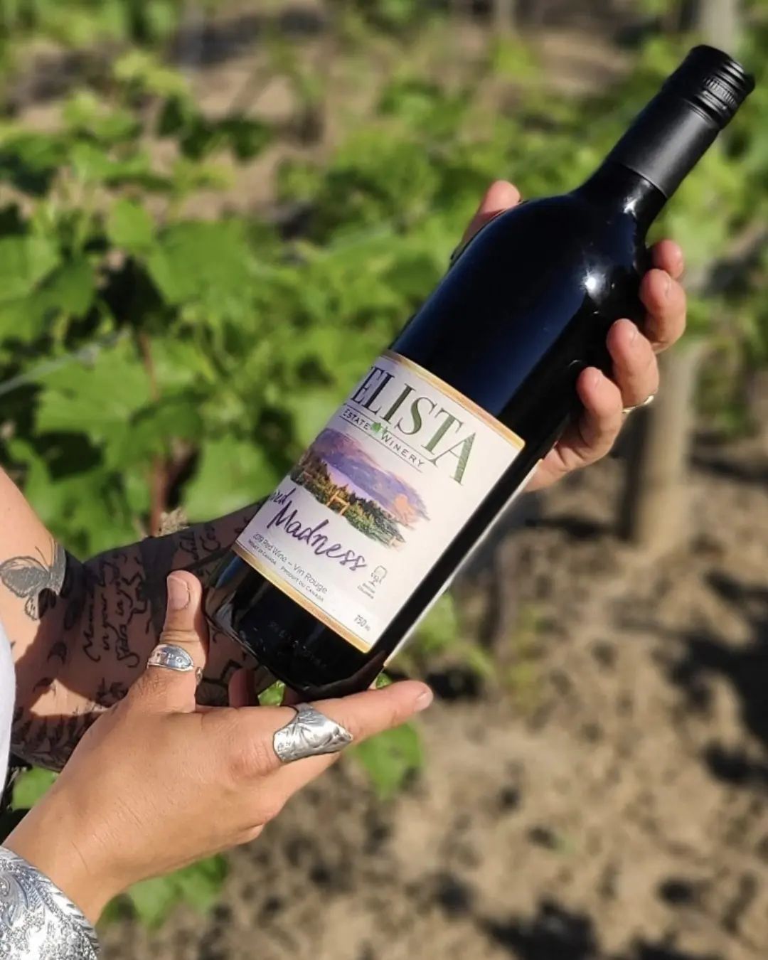 Hands holding a wine bottle