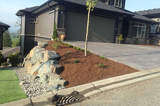 Image of a houses and its front yard
