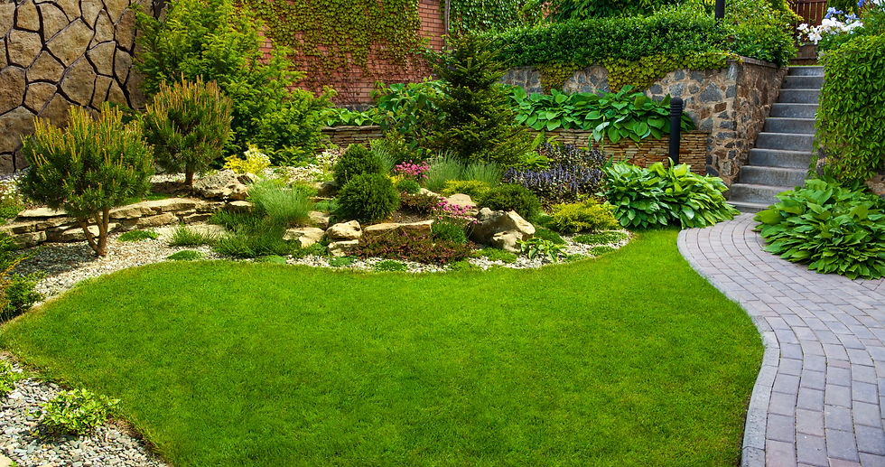A photo of a botanical garden in detail