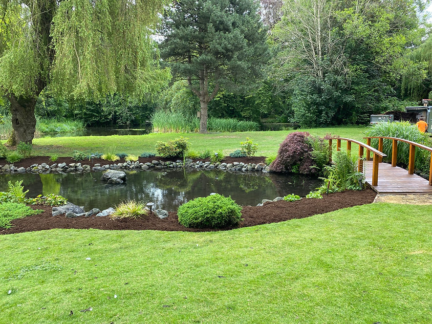 Image of a green park with a pond