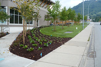 Image of well kept lawn and pavement