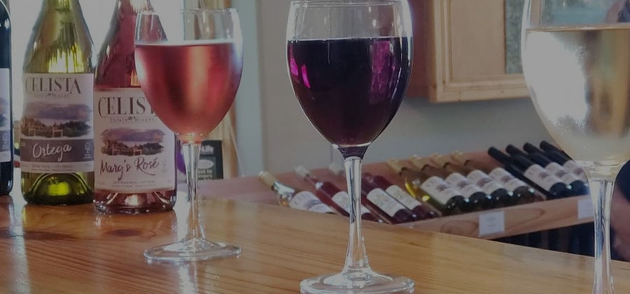 Glasses filled with wine on a table