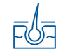 Hair root icon