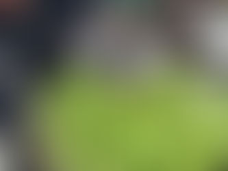 Unim esforços: primera collita!