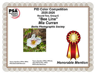 Berks Photographic Society~Bee Line~Mia Curran~E.jpg