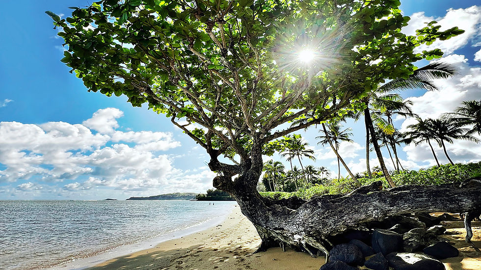 Kaua'i 20.jpeg