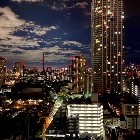 The best metropolitan city to travel in Asia is Tokyo, Japan.