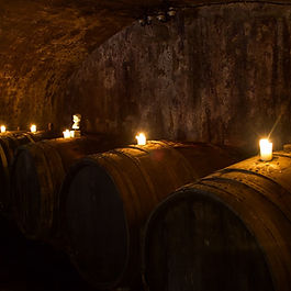 Weinfässer mit Kerzen in einem alten Weinkeller