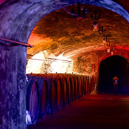 Bläulich und rot beleuchteter alter Weinkeller mit großen Weinfässern