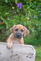 forest-7weeks.jpg