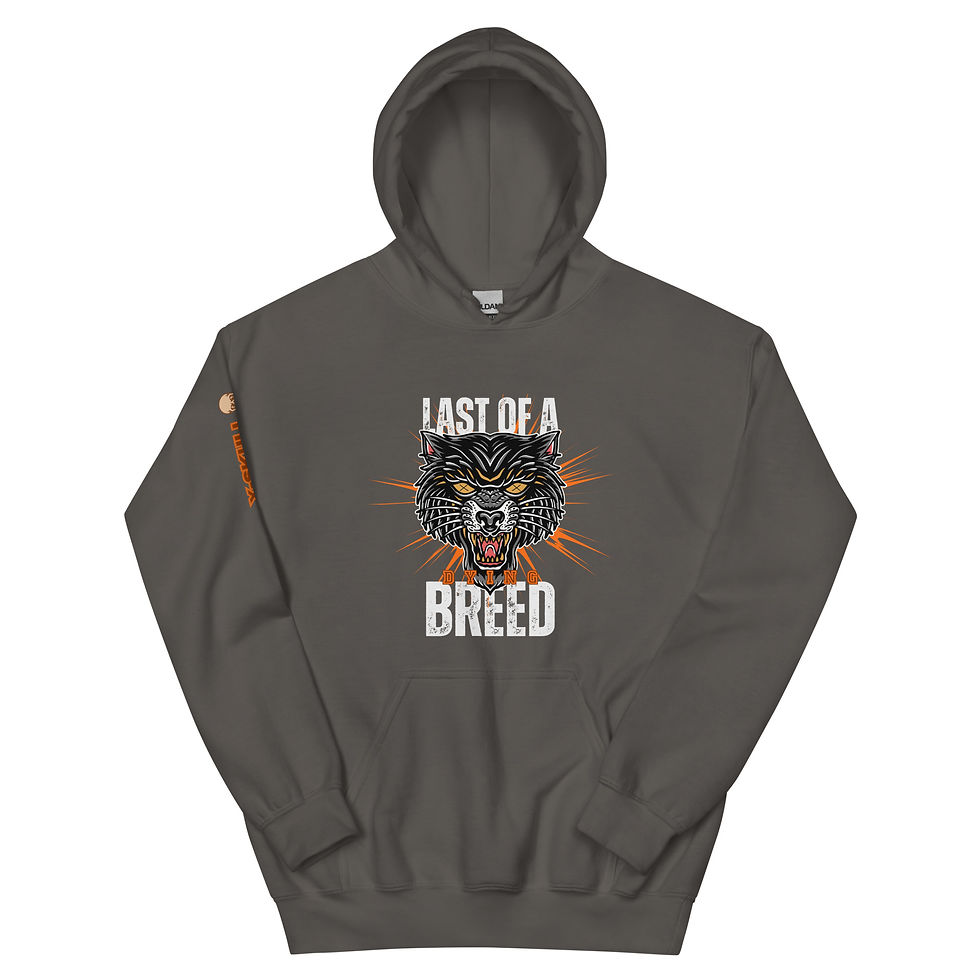 Thumbnail: LAST OF A DYING BREED HOODIE