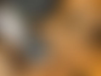 WEEK 18: A NEW ALTERNATIVE