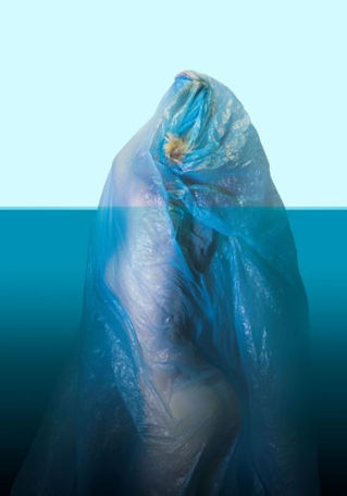 Iceberg