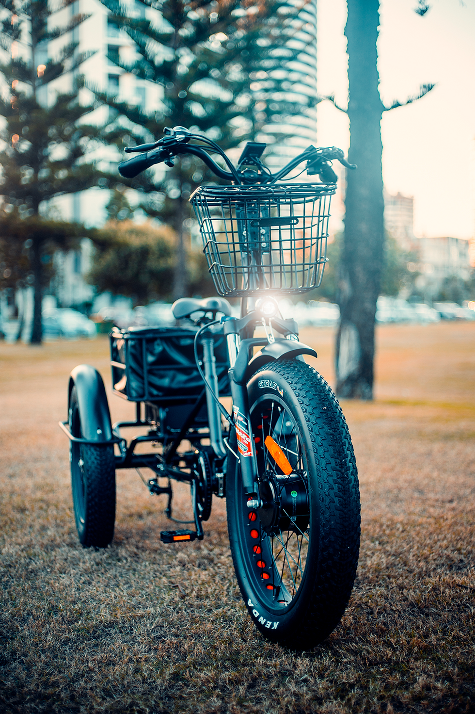 Thumbnail: Eurowheel  e-Trike for Adults & Seniors