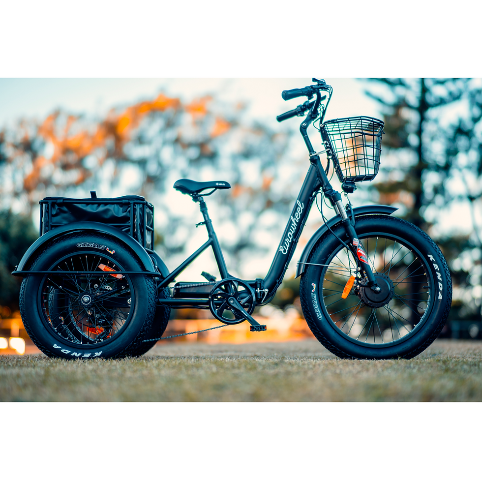 Thumbnail: Eurowheel  e-Trike for Adults & Seniors