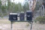 PILKARRA traps