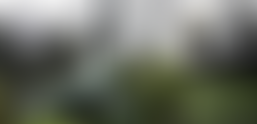 Su Rai Italia Cinema, “Mio fratello rincorre i dinosauri” (Commedia, 2019), regia di Stefano Cipani