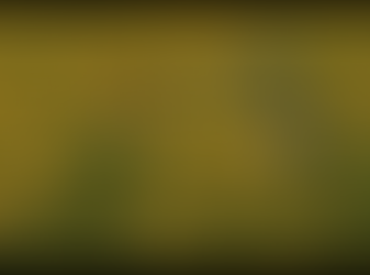 PARCO DELTA DEL PO DELL’EMILIA-ROMAGNA TURISMO DELLE RADICI - NUOVA MAPPA BORGHI D’ITALIA