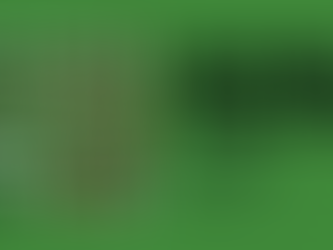 Italia Paese ospite d'onore della Fiera Internazionale del libro di Praga