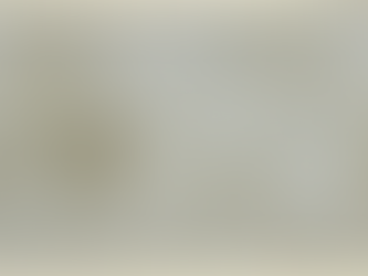 Il cuore di Leonardo: Francis Wells alla Sant’Anna di Pisa