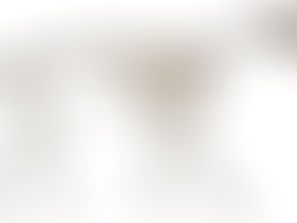 Ritrovato a Roma il fossile del primo lupo d’Europa