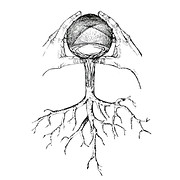 Logo de es.bulatulum.com