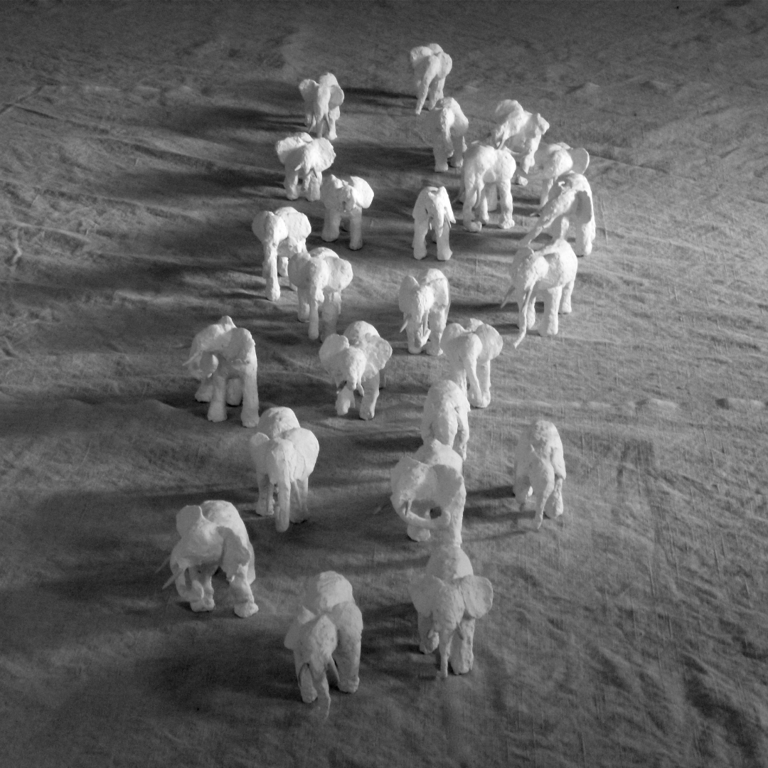 Elephants (Migration) #4