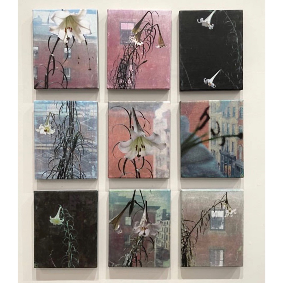 Lily’s Corner (Installation View)