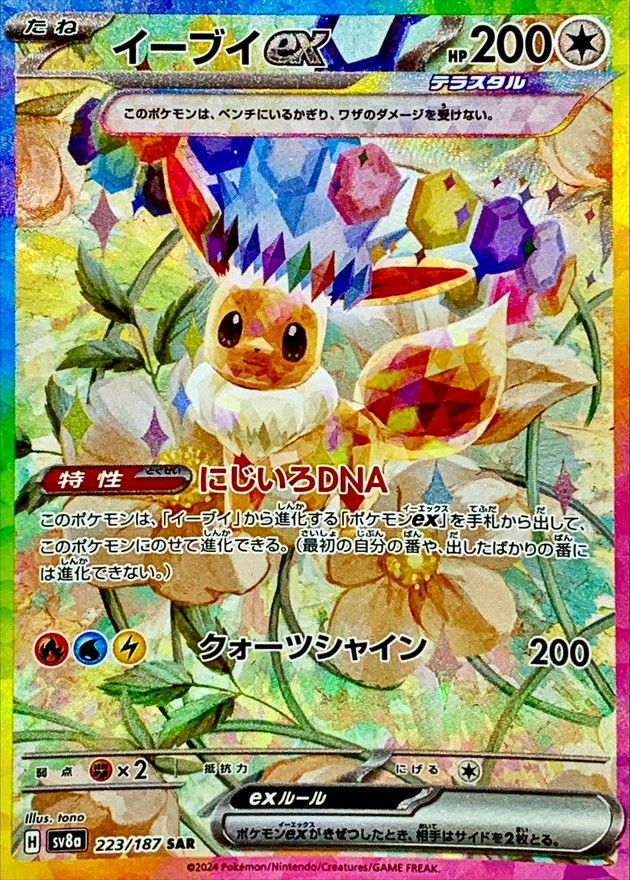poke_ura.png