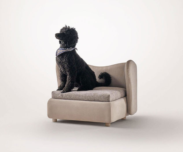 Krevet za vaše ljubimce. Da svaki član porodice ima udobno mesto za odmor