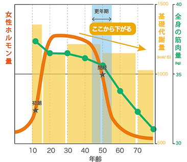 スクリーンショット 2025-01-09 18.00.33.png