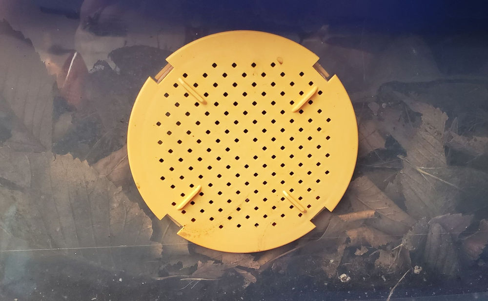 Ventilation for Isopods